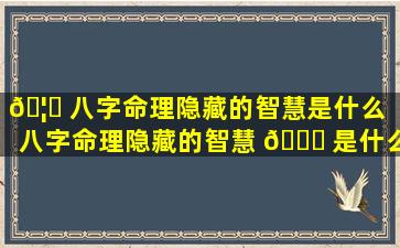 🦍 八字命理隐藏的智慧是什么「八字命理隐藏的智慧 🐘 是什么意思」